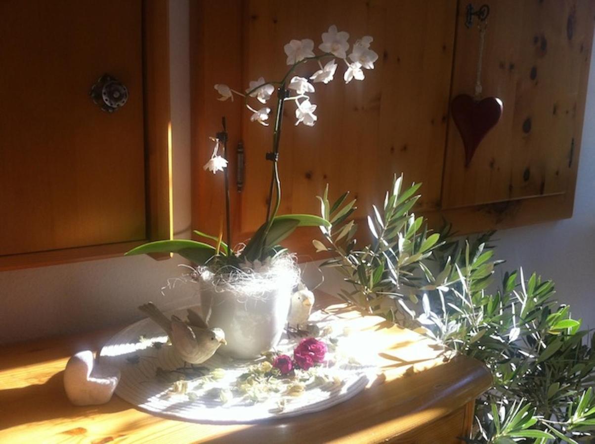 Pension Und Apartment Edelweiss Heiligenblut Dış mekan fotoğraf